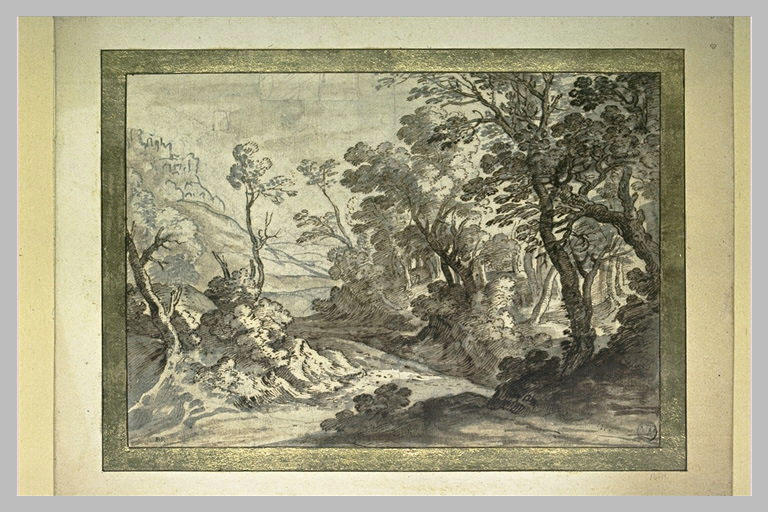 Chemin à la lisière d'un bois