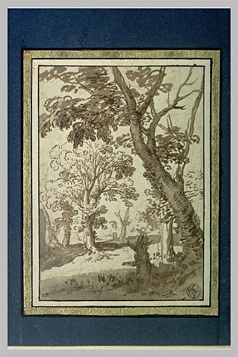 Etude d'arbres