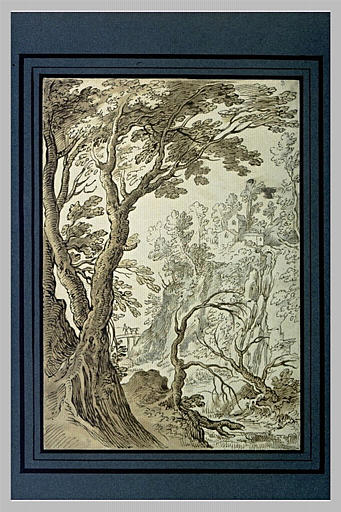 Cascade tombant d'une colline dans une rivière bordée d'arbres