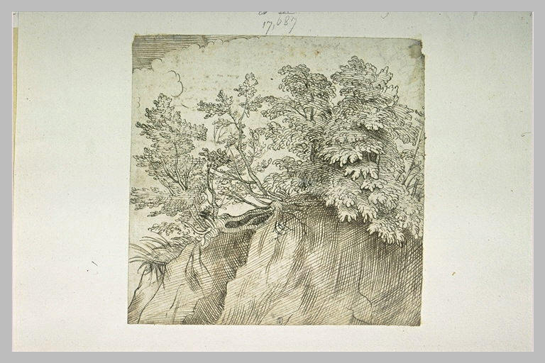 Haut d'un talus couronné d'arbustes