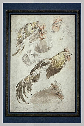 Six études de poules
