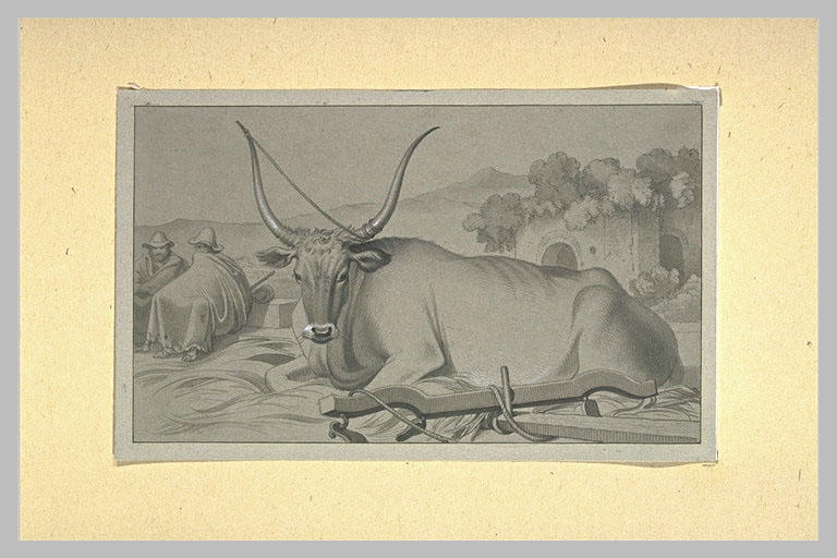 Paysans et boeuf italien, couché