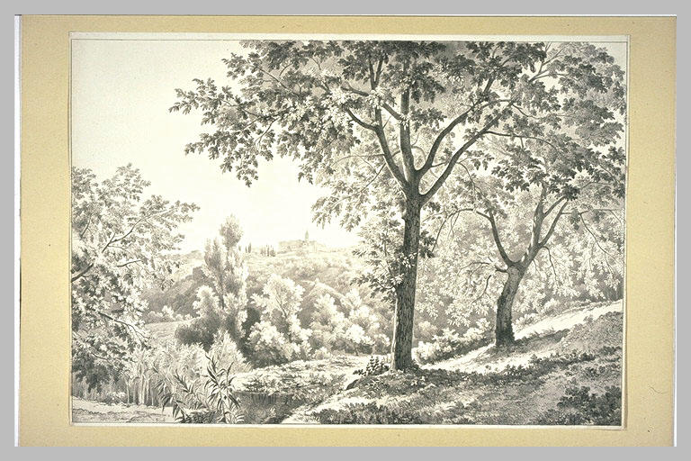 Vue des environs de Tivoli