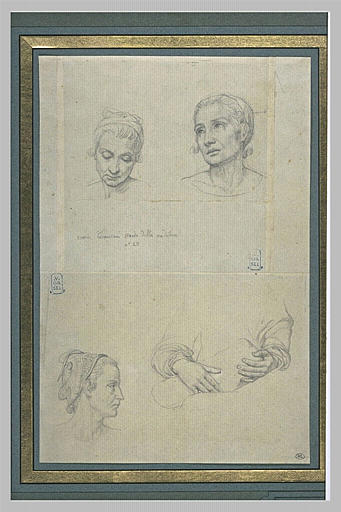 Trois têtes de femmes