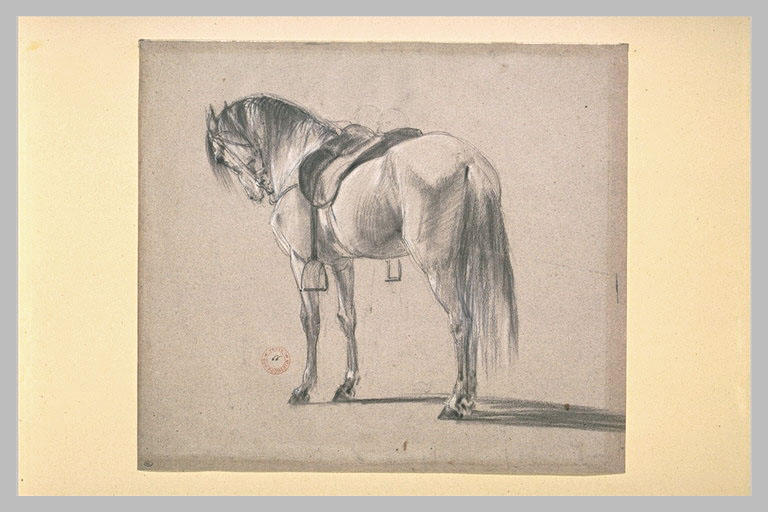 Etude de cheval