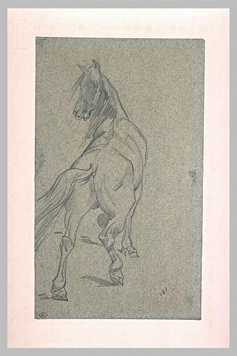 Etude de cheval, de dos