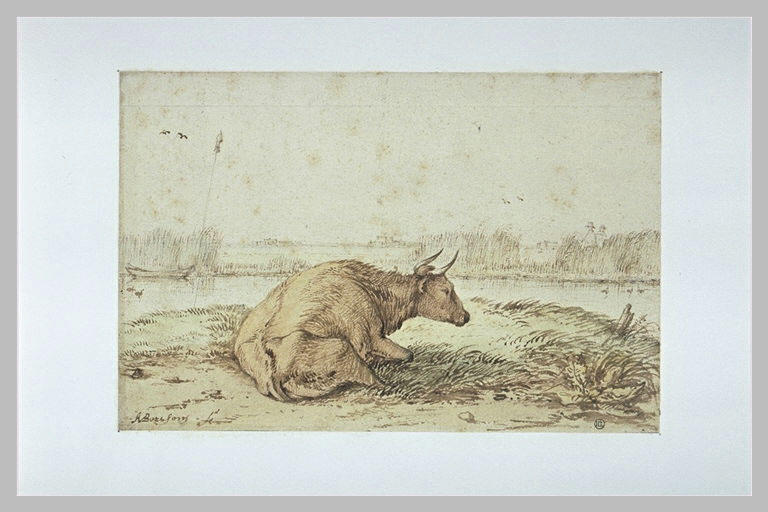 Vache couchée devant une rivière