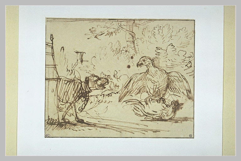 Chien à la chaine, aboyant après un oiseau de proie attaquant une poule