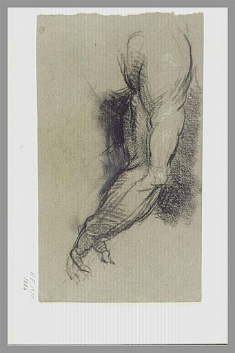 Etude de bras, d'après Michel-Ange