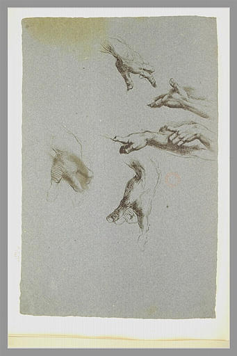 Mains, d'après Michel-Ange