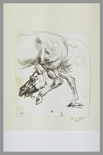 Deux études pour un cheval