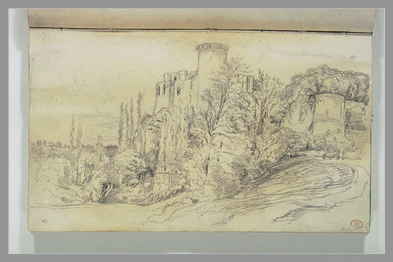 Le château de Falaise