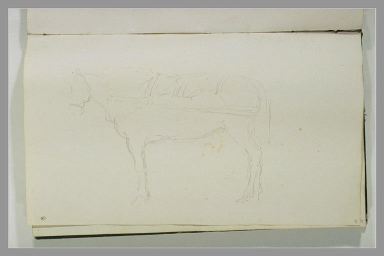 Cheval attelé