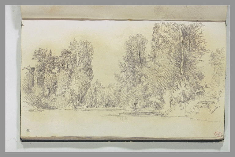 L'orée de la forêt