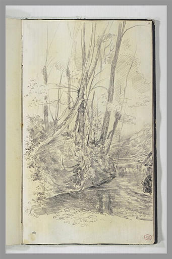 Un cours d'eau aux rives boisées, près de Falaise