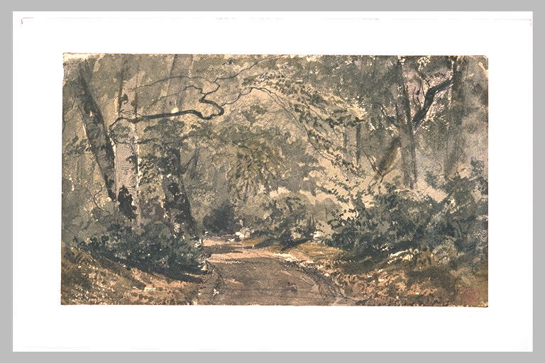 La route des Ligueurs à Fontainebleau