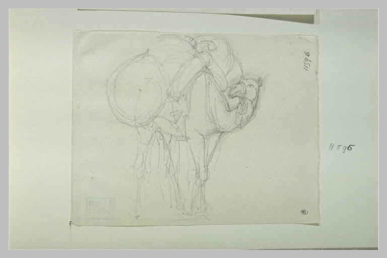 Dromadaire chargé, le corps légèrement tourné vers la droite