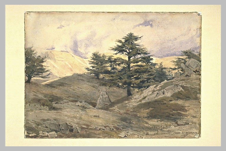 Terrain accidenté planté de quelques sapins et des rochers