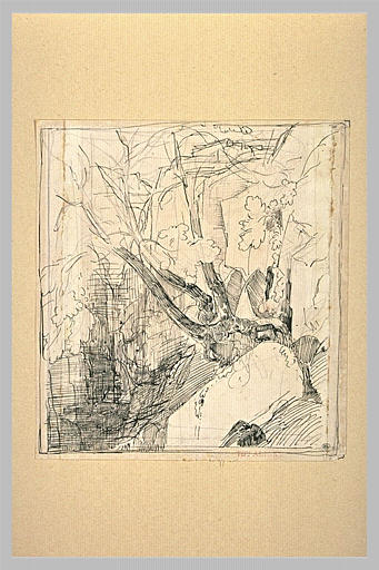 Arbre parmi des rochers