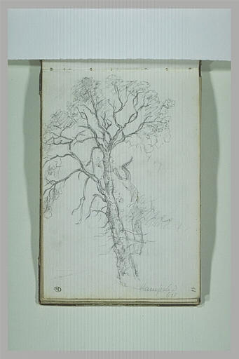 Arbre