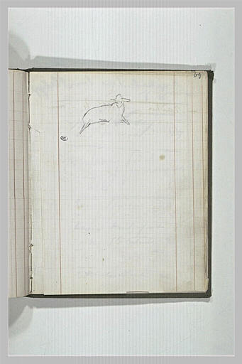 Croquis de mouton