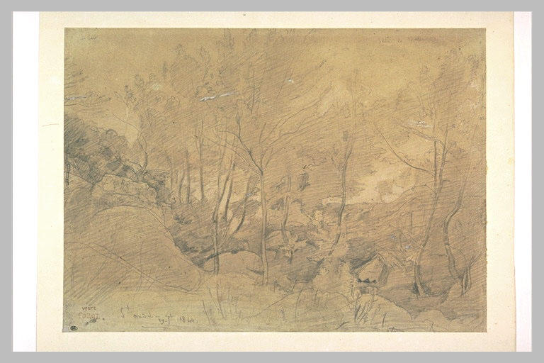 Taillis d'arbres parmi des rochers dans les environs de Saint-André