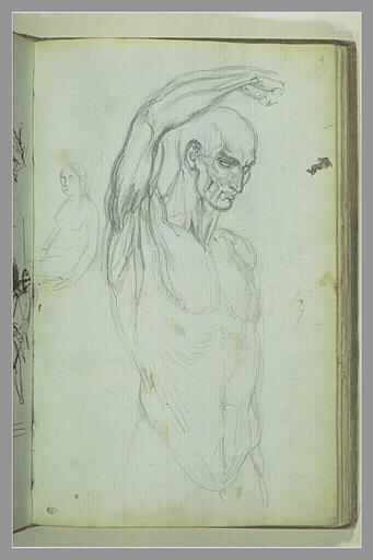 Etude d'homme nu, écorché