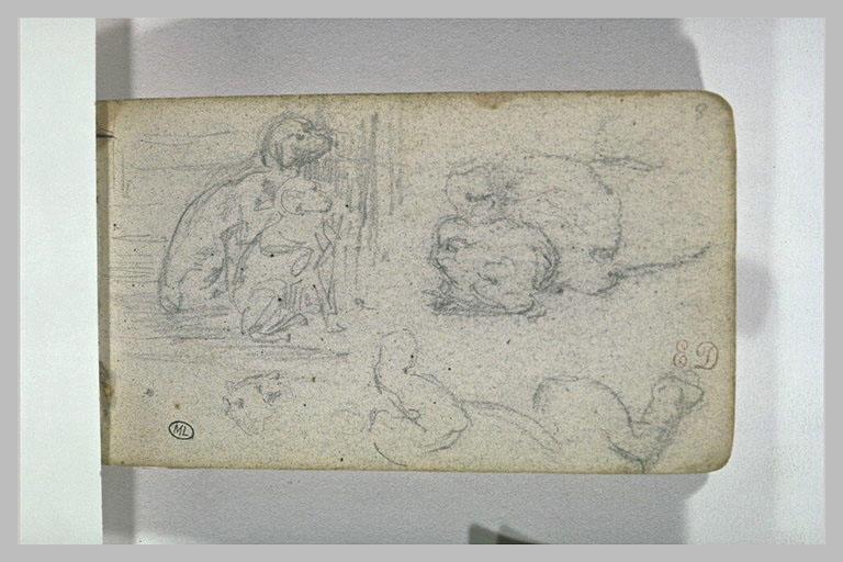 Croquis d'animaux