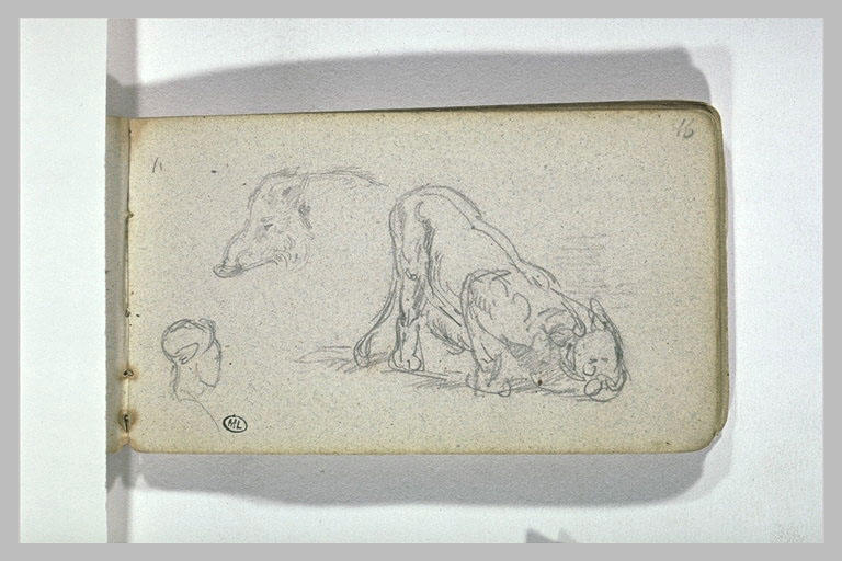 Croquis d'animaux
