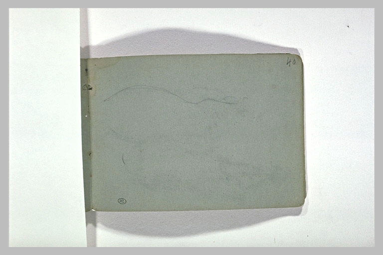 Fauves couchés