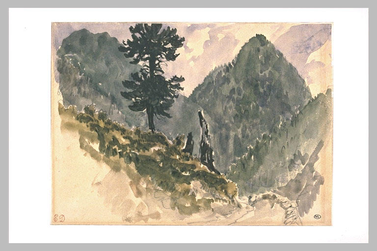 Paysage avec un sapin sur le flanc d'une montagne