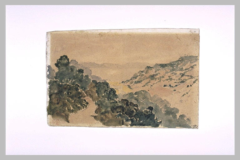 Paysage marocain avec collines boisées en bord de mer