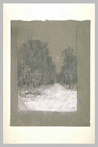 Route couverte de neige traversant un bois