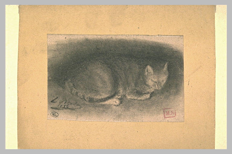 Chat couché, tourné vers la droite