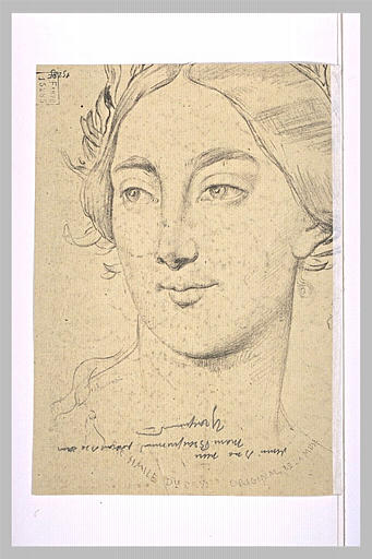 Tête de muse