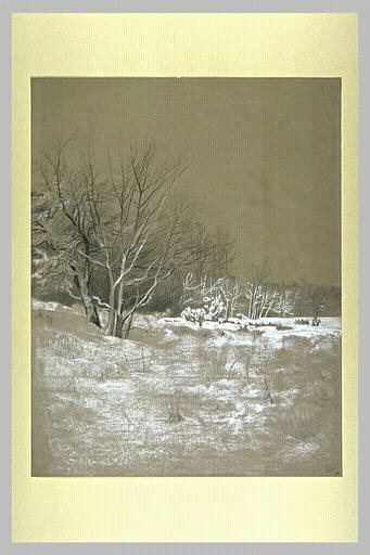 Lisière d'une forêt sous la neige