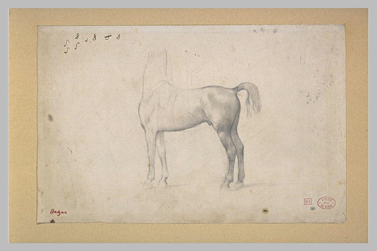 Cheval de profil à gauche