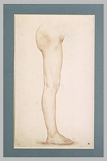 Cuisse et jambe droite d'une femme