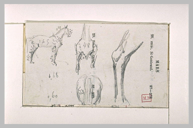 Etudes de chevaux