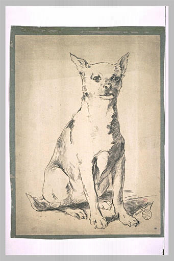 Chien assis, légèrement tourné vers la droite