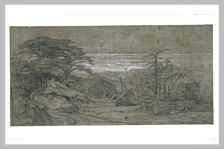Paysage avec des cèdres, des arbres brisés et des collines
