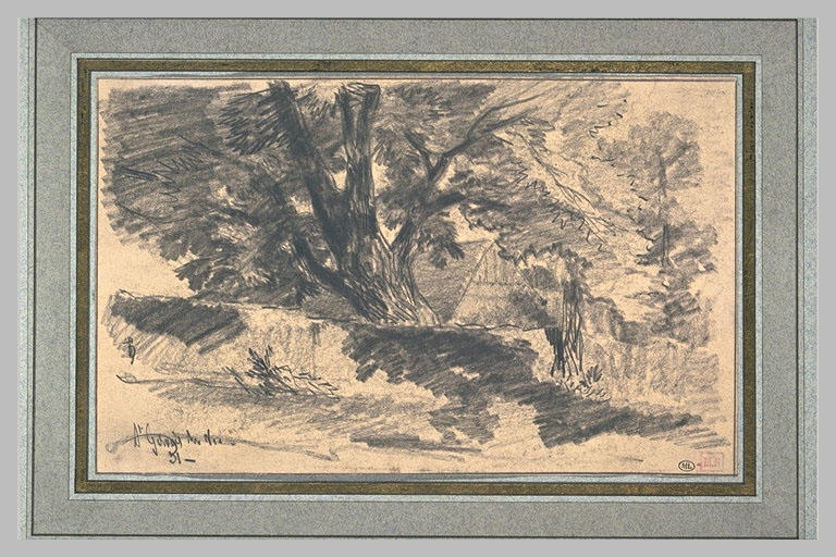 Gros arbre cachant un bâtiment
