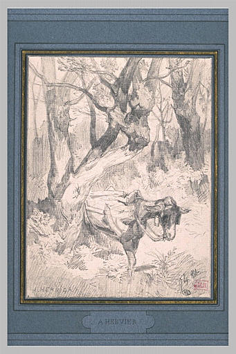 Un âne bâté dans un bois