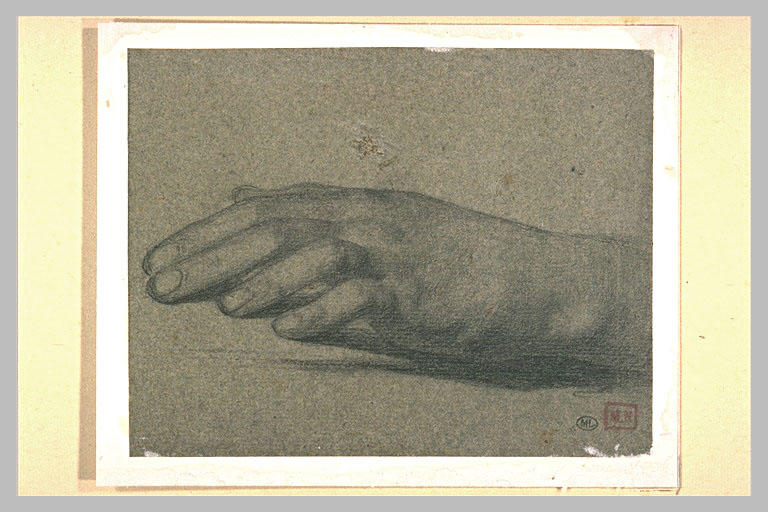 Etude de main gauche, posée