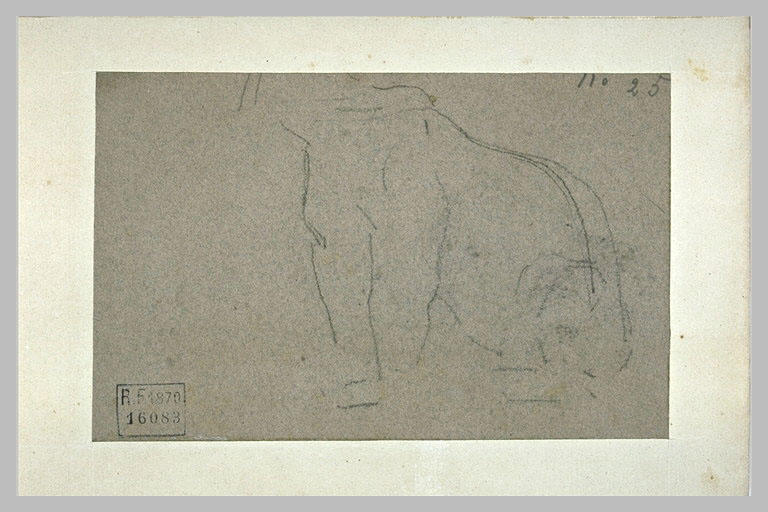 Silhouette de félin assis