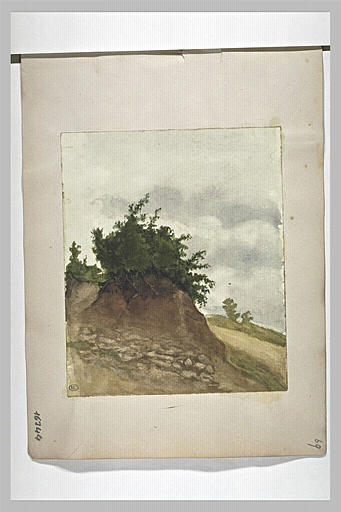Buisson sur un monticule couronnant un terrain en pente