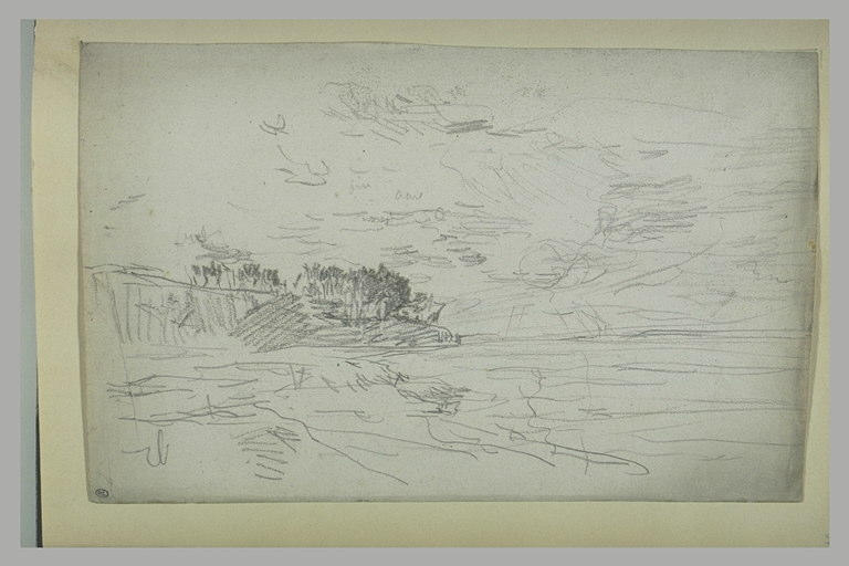 Bord de mer boisé, au soleil couchant