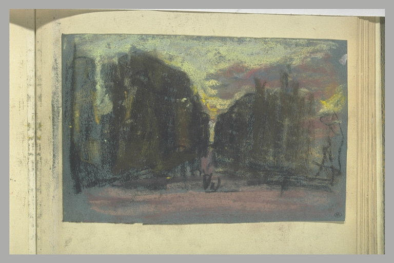 Allée d'arbres vue en perspective, soleil couchant