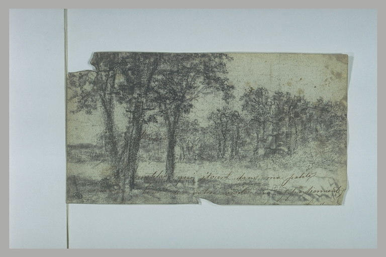 Clairière