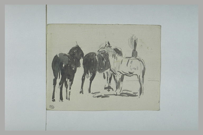 Trois chevaux : un blanc et deux noirs